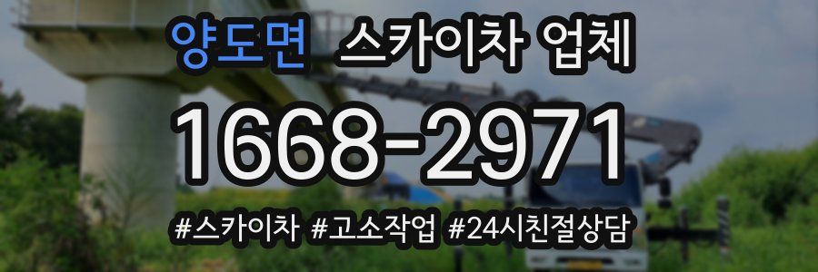 양도면 스카이차 업체