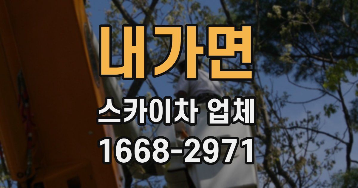 내가면 스카이차 업체