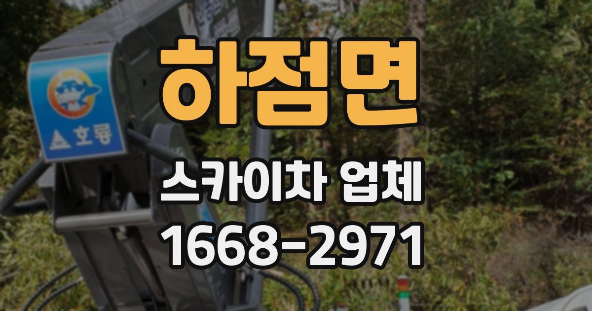 하점면 스카이차 업체