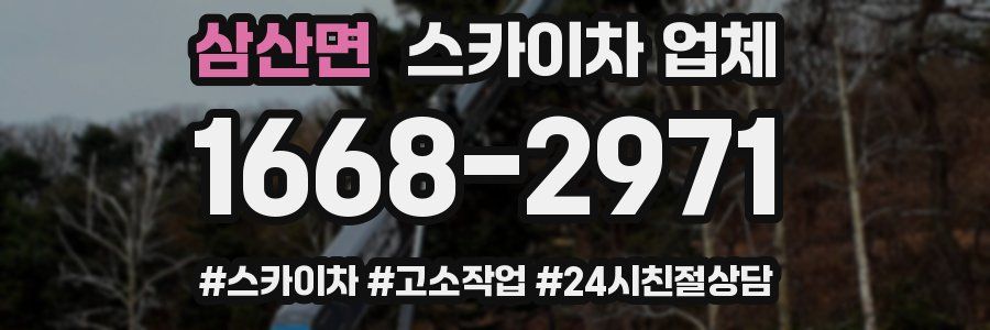 삼산면 스카이차 업체