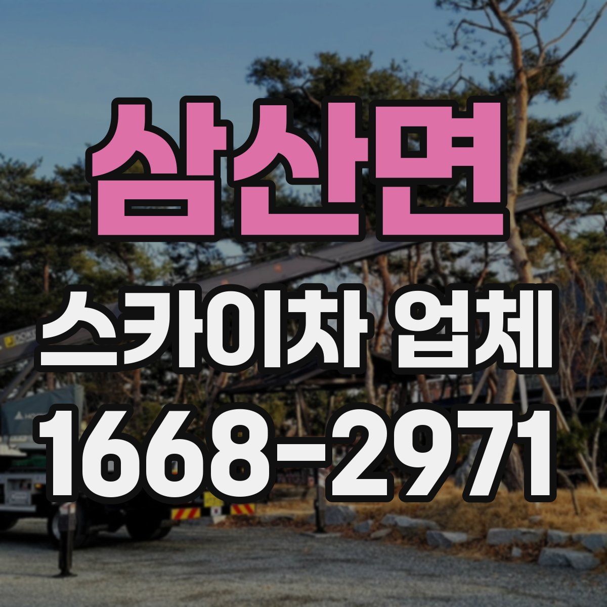 삼산면 스카이차 업체