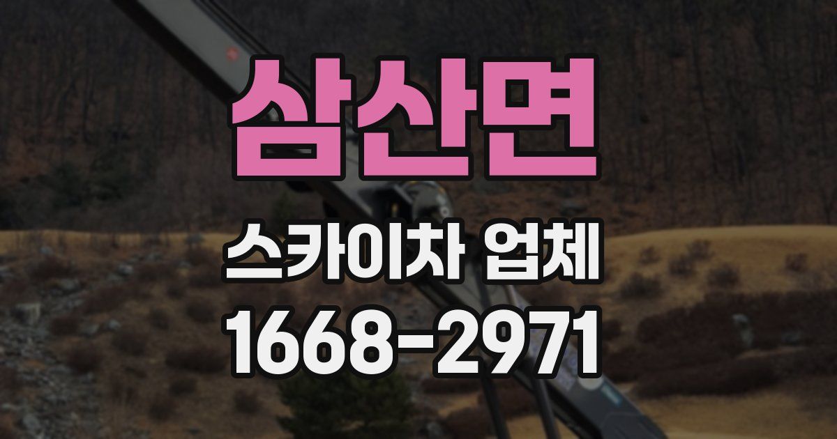 삼산면 스카이차 업체
