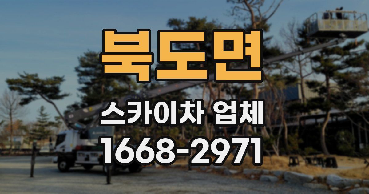 북도면 스카이차 업체