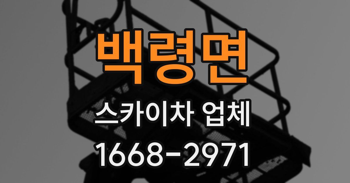 백령면 스카이차 업체