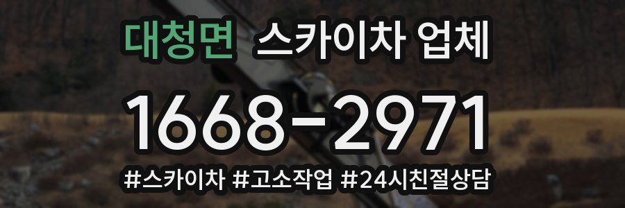 대청면 스카이차 업체