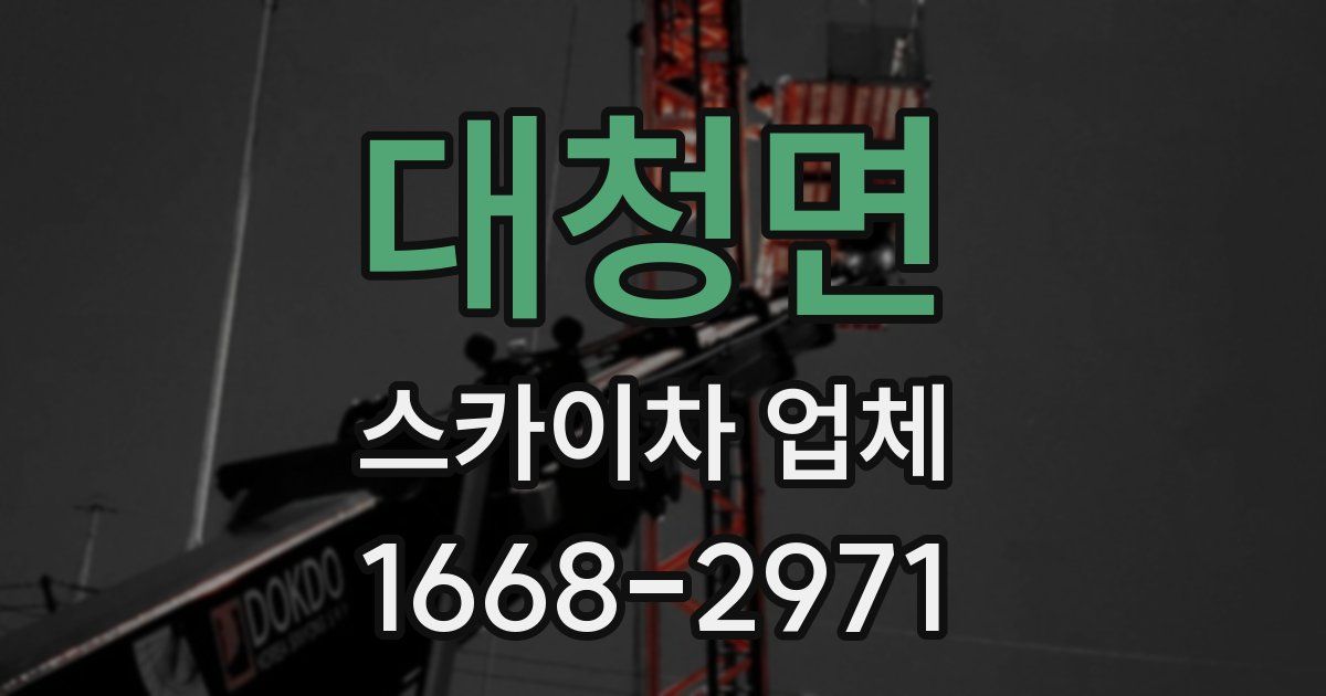 대청면 스카이차 업체