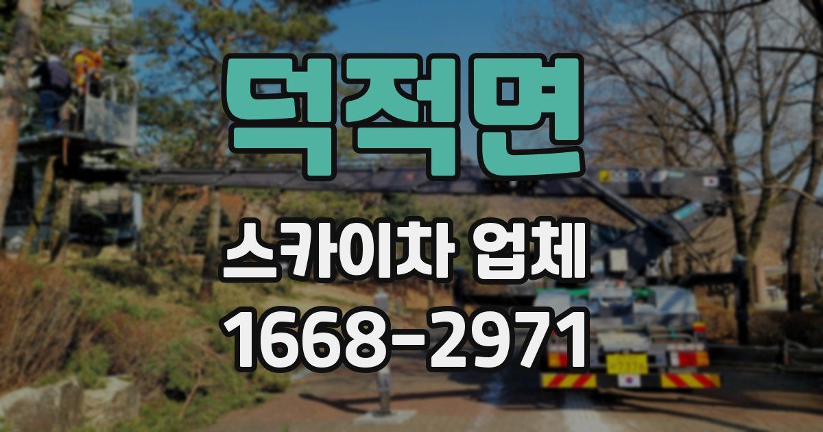 덕적면 스카이차 업체