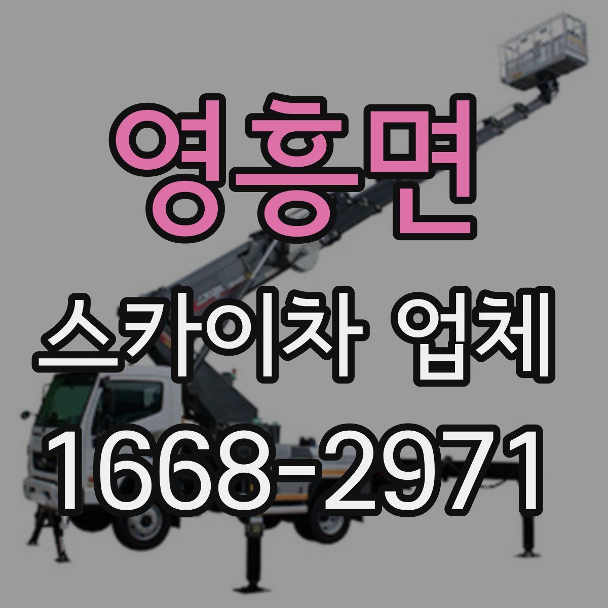 영흥면 스카이차 업체