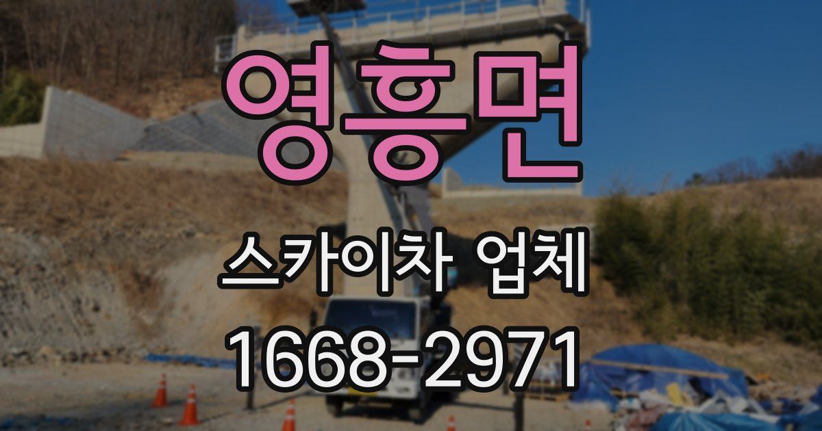 영흥면 스카이차 업체