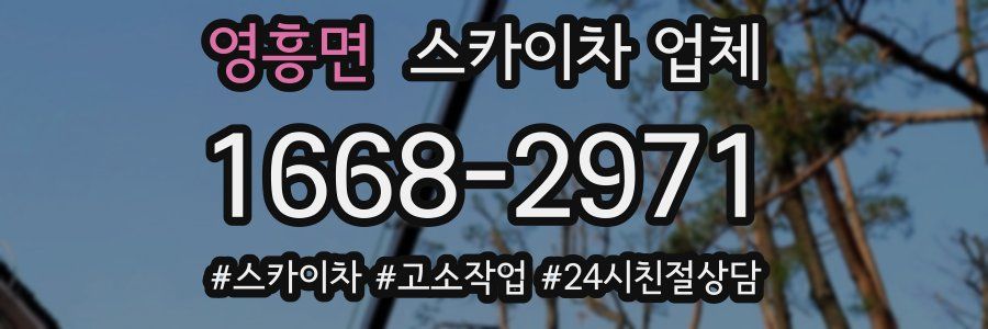 영흥면 스카이차 업체