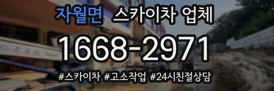 자월면 스카이차 업체