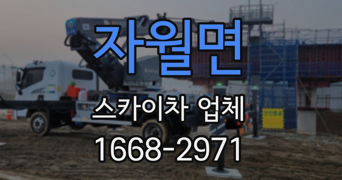 자월면 스카이차 업체