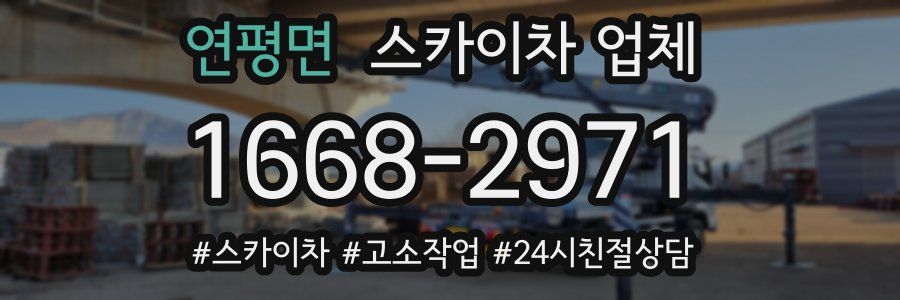 연평면 스카이차 업체