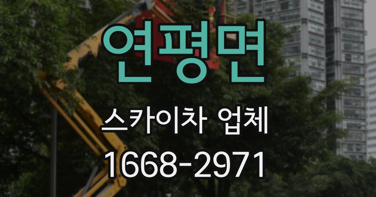 연평면 스카이차 업체