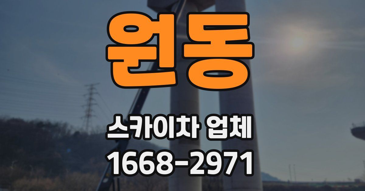 원동 스카이차 업체