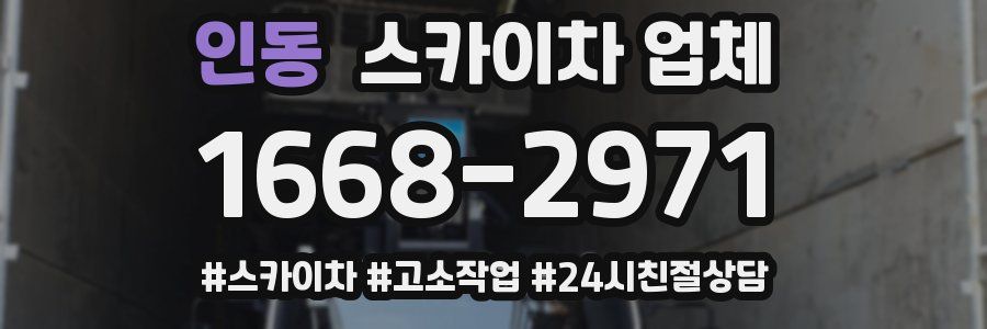 인동 스카이차 업체