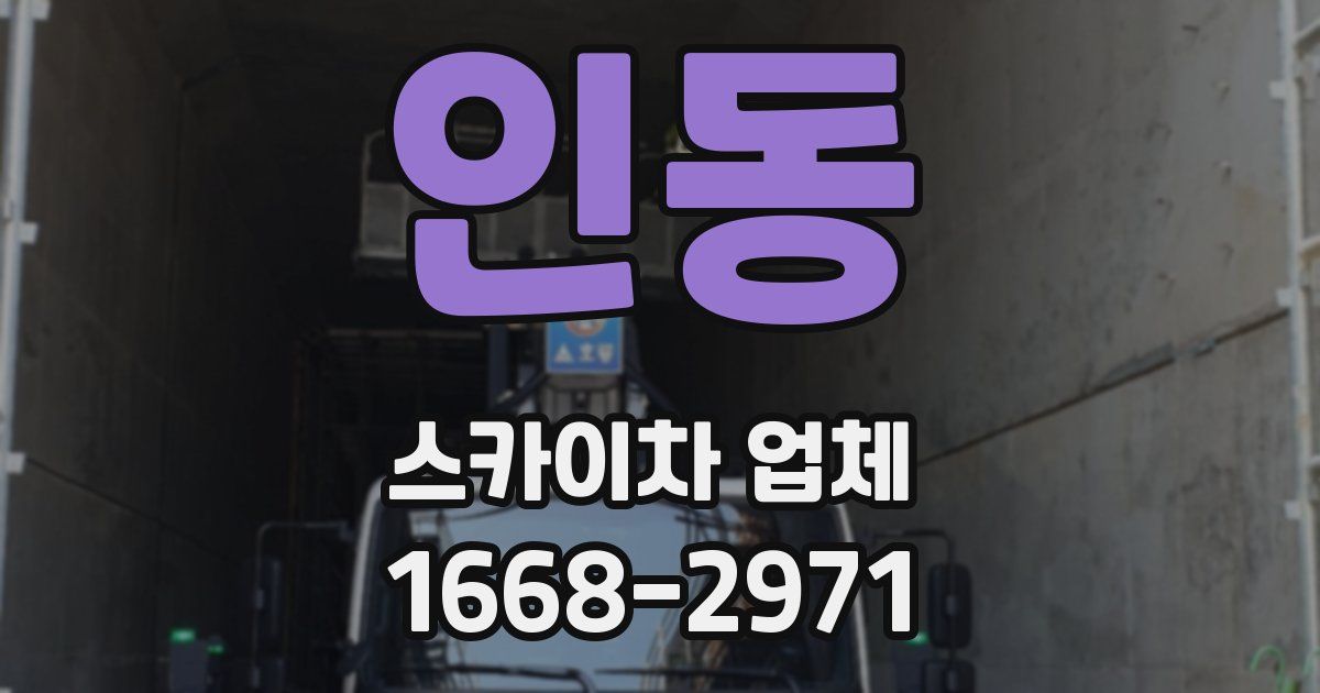 인동 스카이차 업체