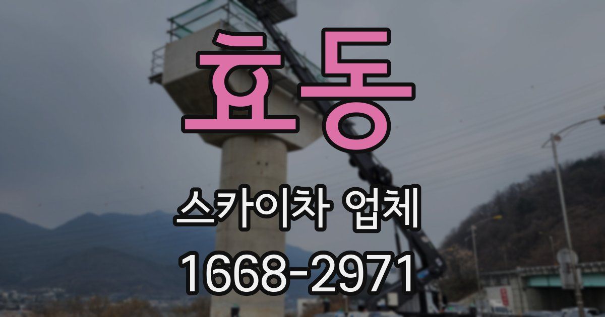 효동 스카이차 업체