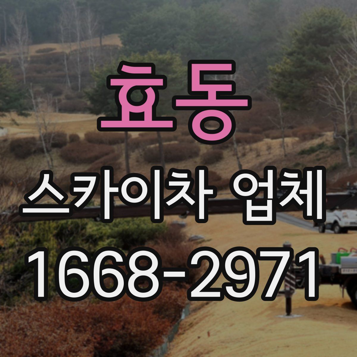 효동 스카이차 업체