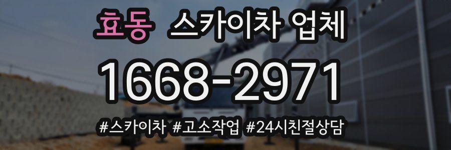 효동 스카이차 업체