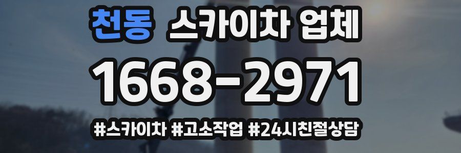 천동 스카이차 업체