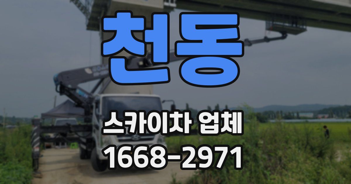 천동 스카이차 업체