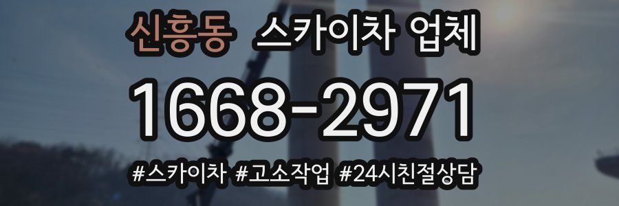 신흥동 스카이차 업체