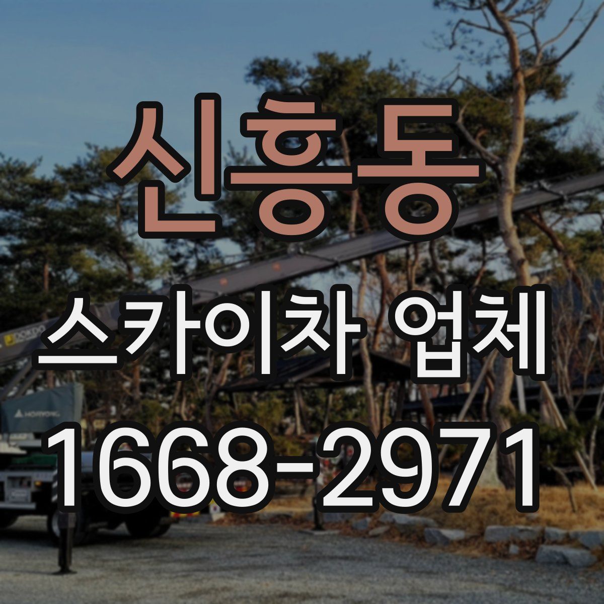 신흥동 스카이차 업체