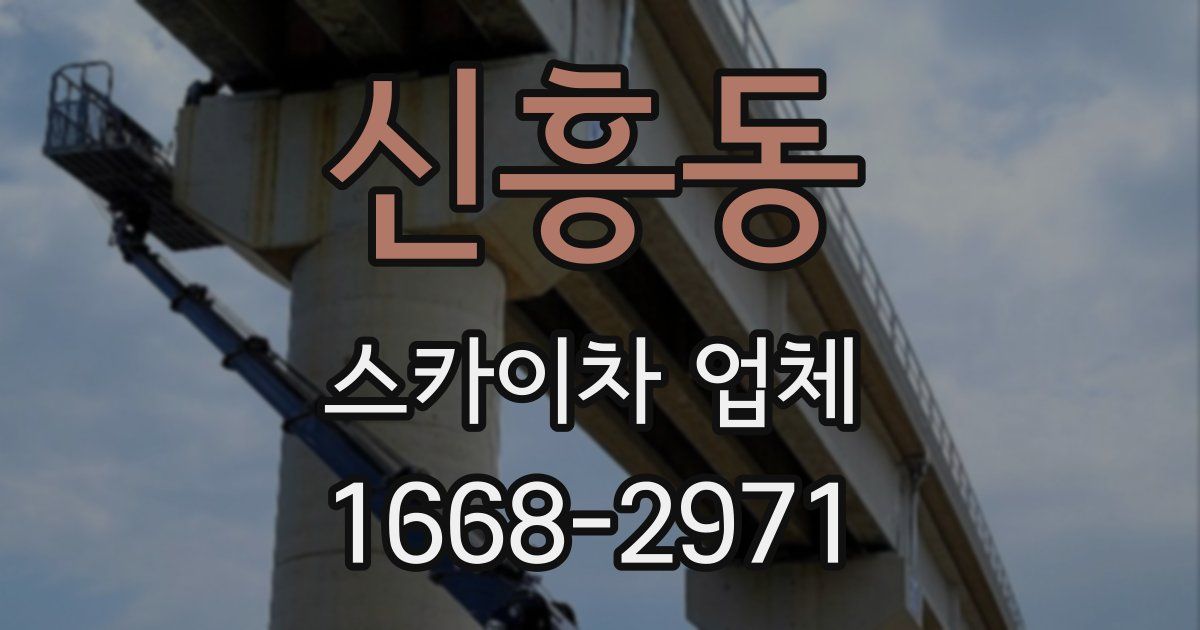 신흥동 스카이차 업체
