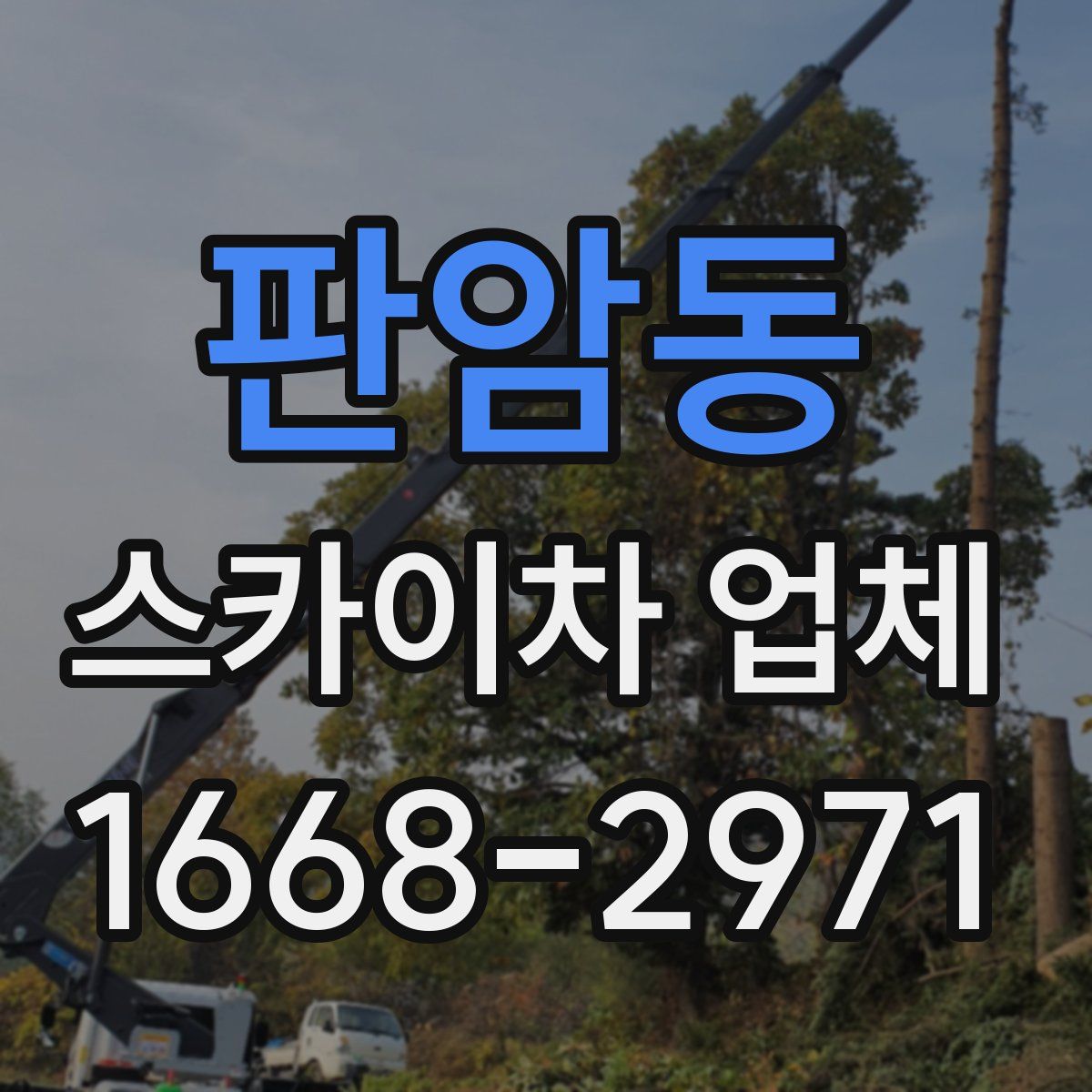 판암동 스카이차 업체