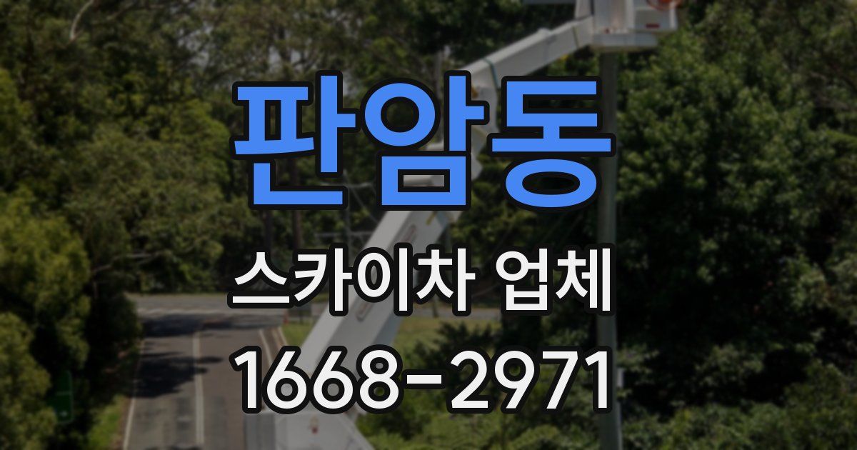 판암동 스카이차 업체