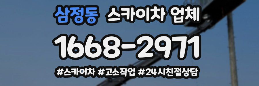 삼정동 스카이차 업체