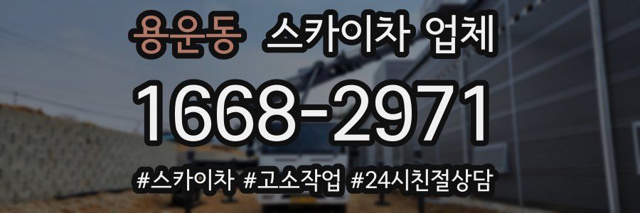 용운동 스카이차 업체