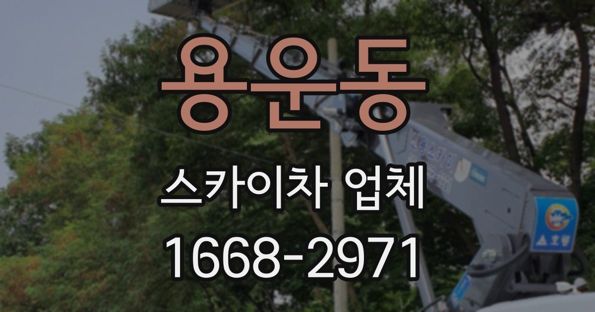 용운동 스카이차 업체