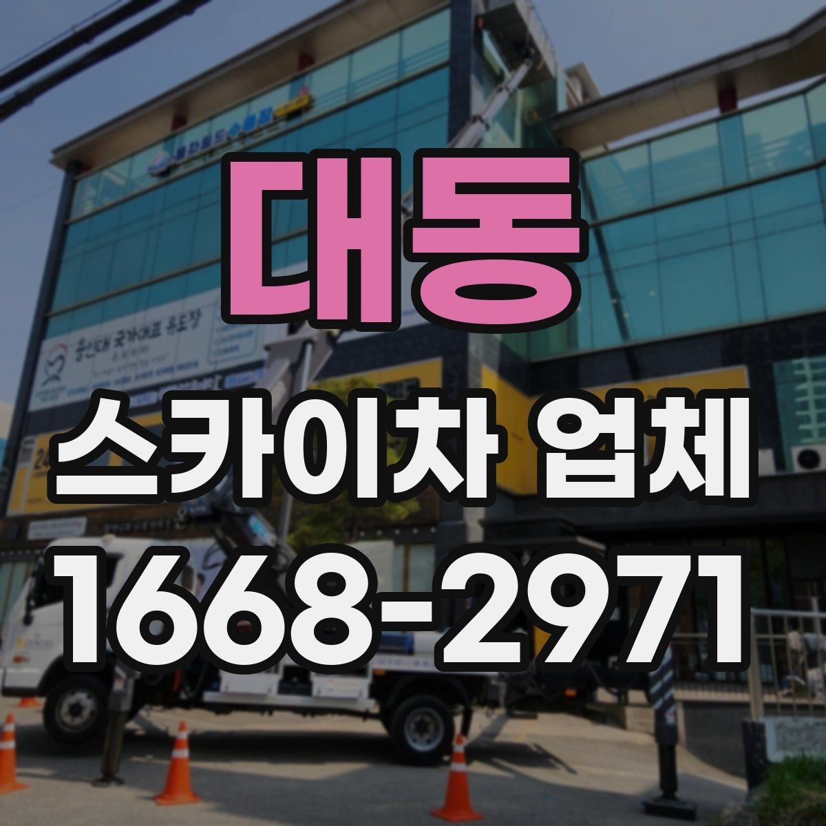 대동 스카이차 업체 선택에서 기사 숙련도가 중요한 이유