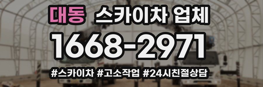 대동 스카이차 업체