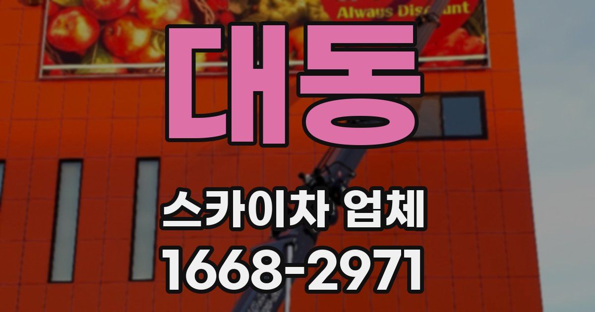 대동 스카이차 업체