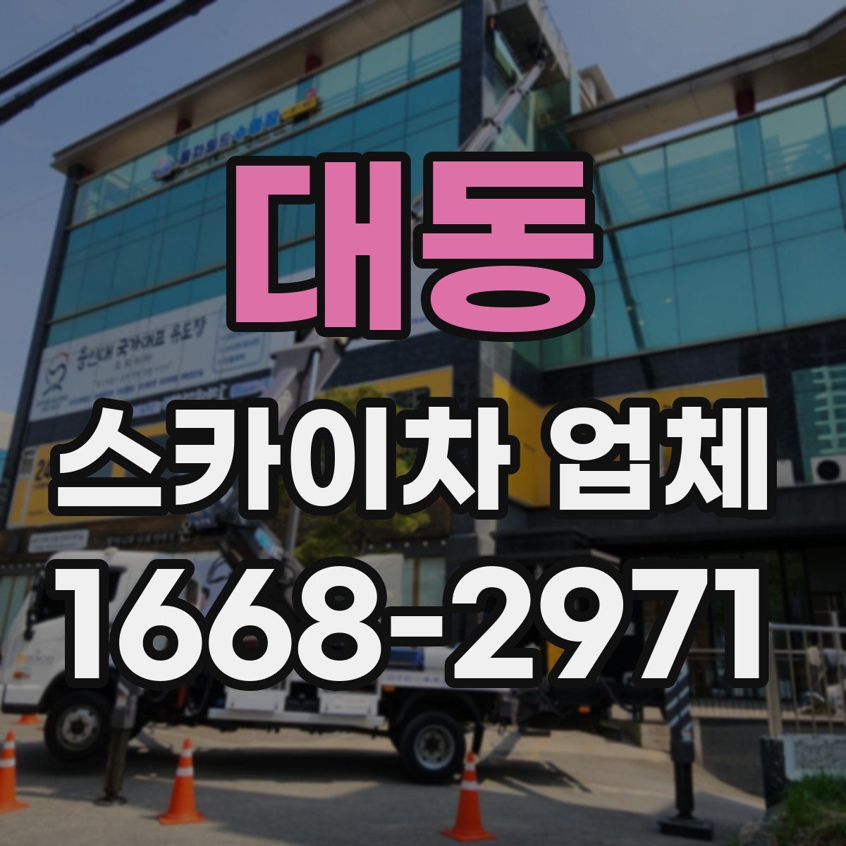 대동 스카이차 업체