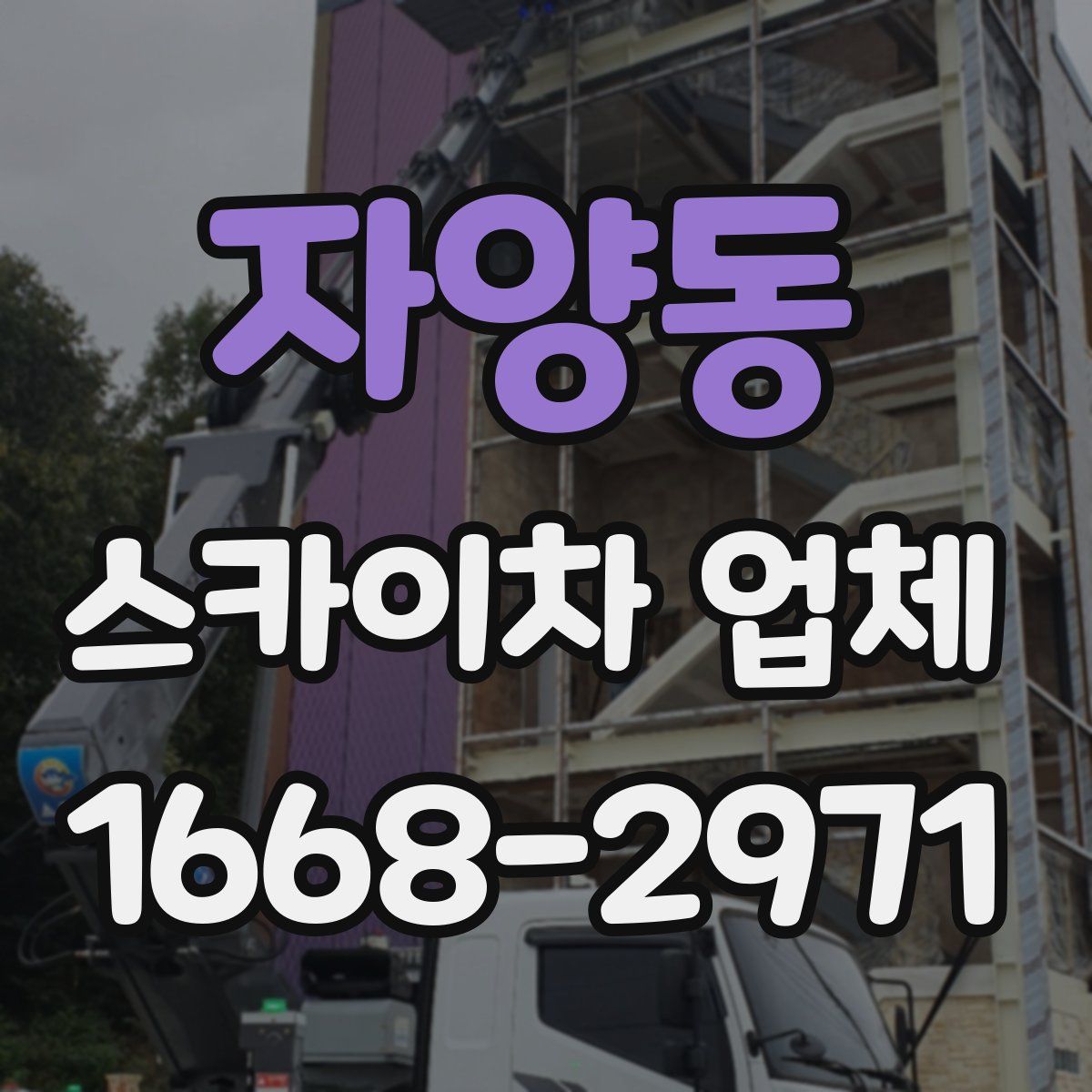 자양동 스카이차 업체