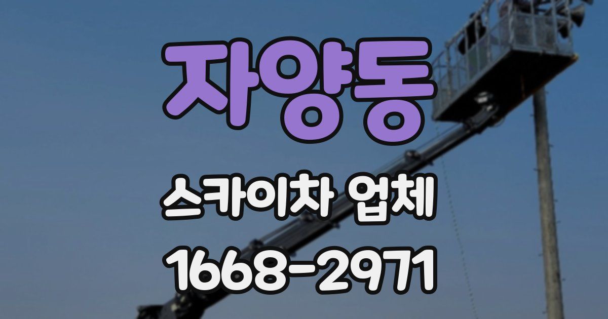 자양동 스카이차 업체