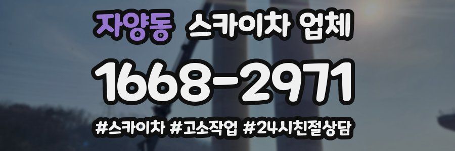 자양동 스카이차 업체