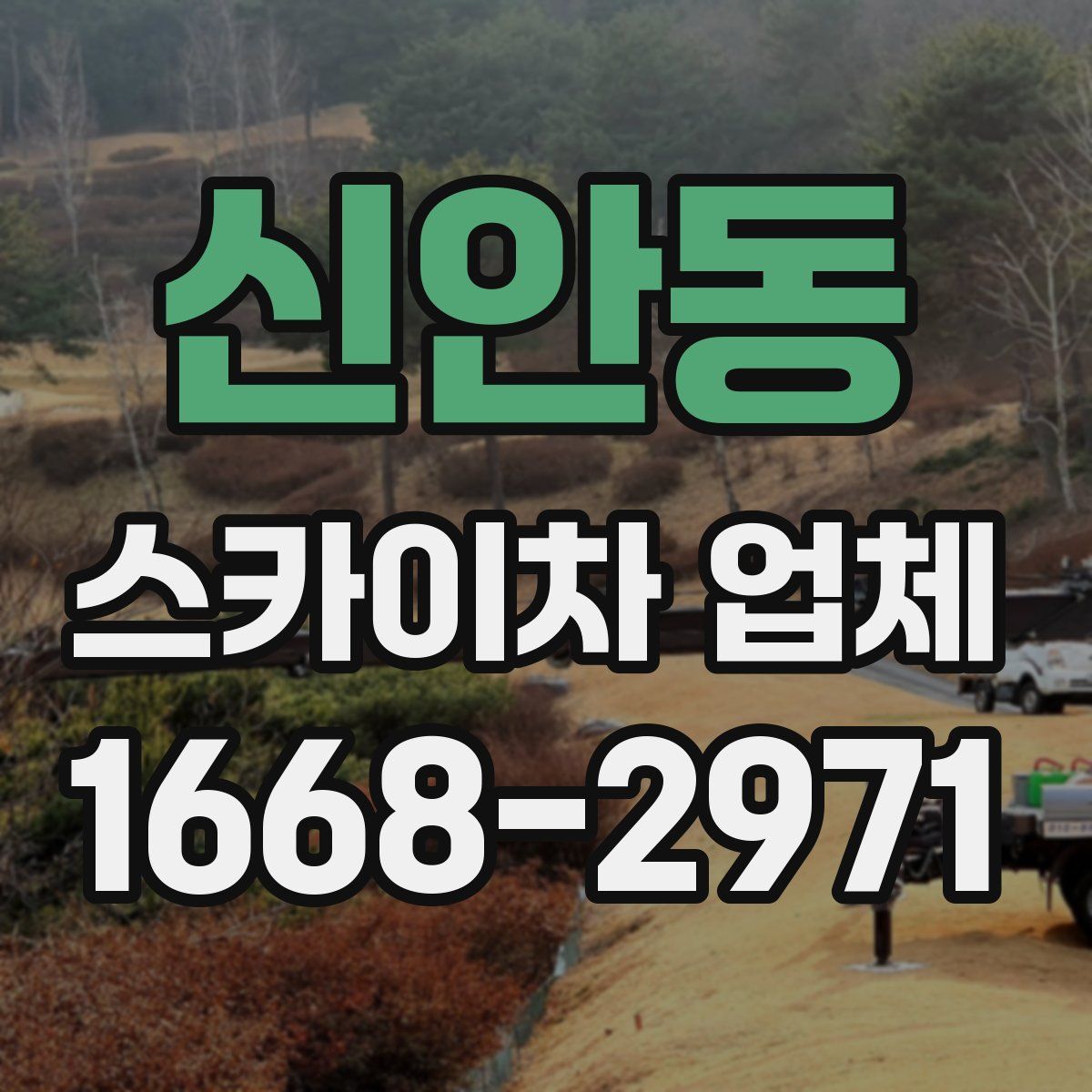 신안동 스카이차 업체