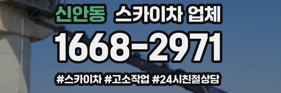 신안동 스카이차 업체