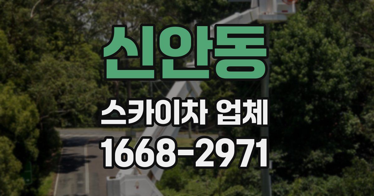 신안동 스카이차 업체