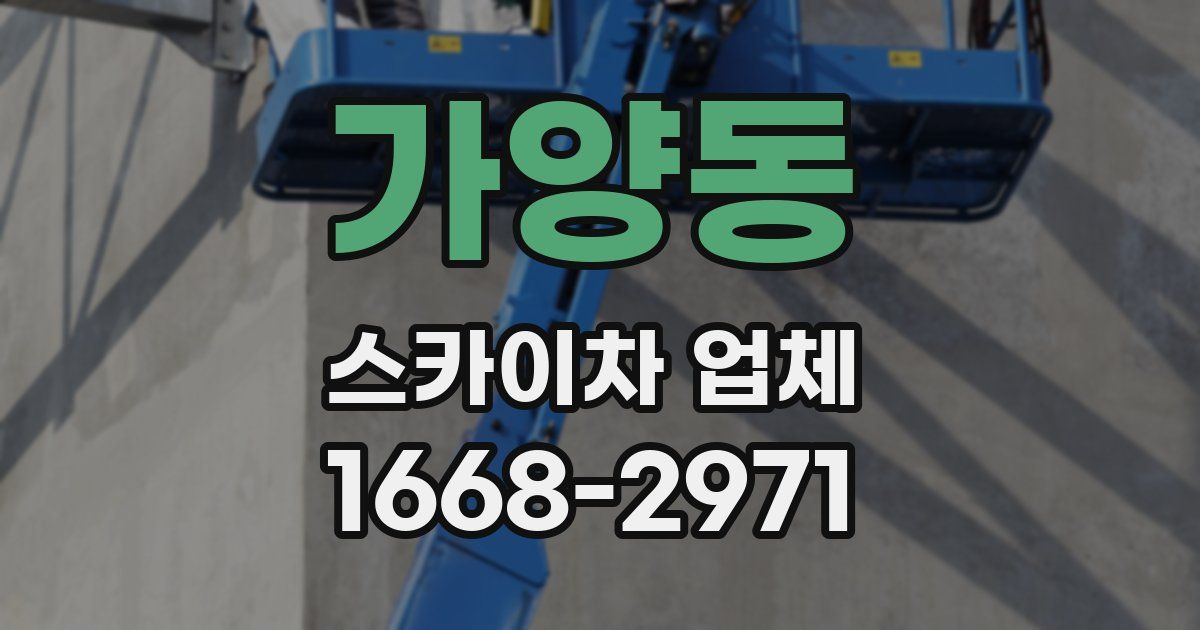 가양동 스카이차 업체