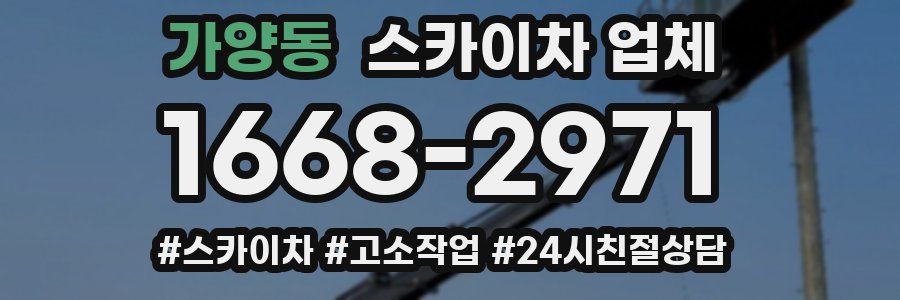 가양동 스카이차 업체