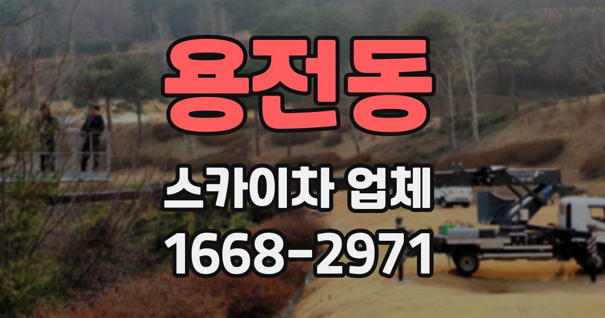 용전동 스카이차 업체