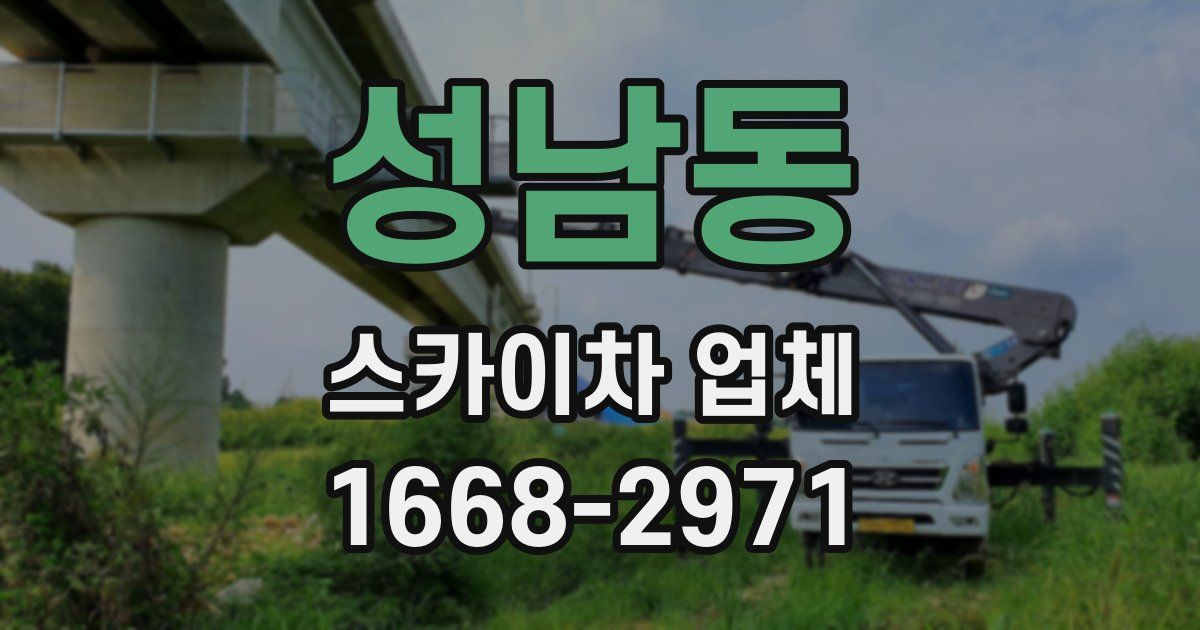 성남동 스카이차 업체