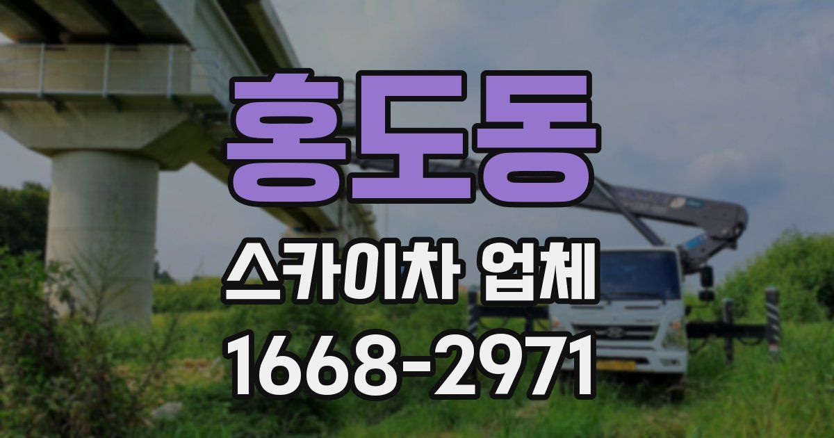 홍도동 스카이차 업체
