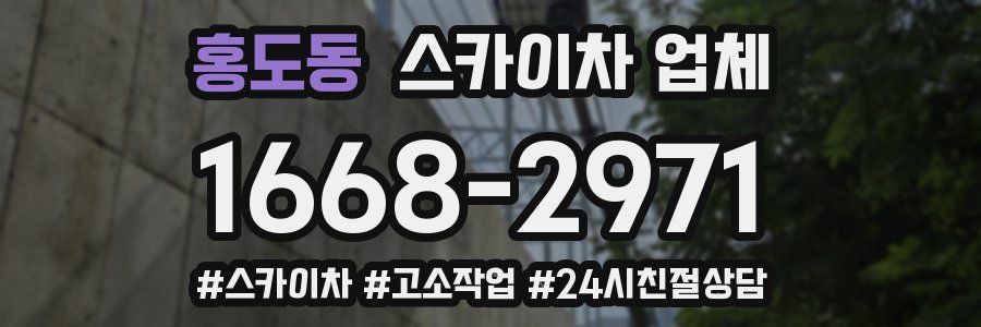 홍도동 스카이차 업체
